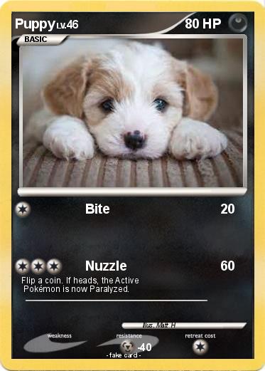 Pokemon Puppy