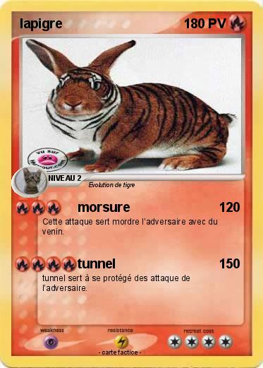 Pokemon lapigre