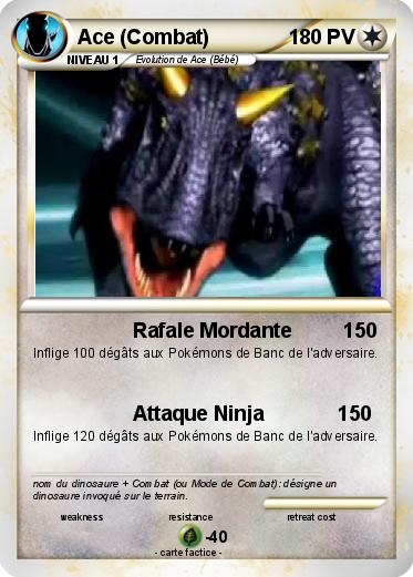 Pokemon Ace (Combat)