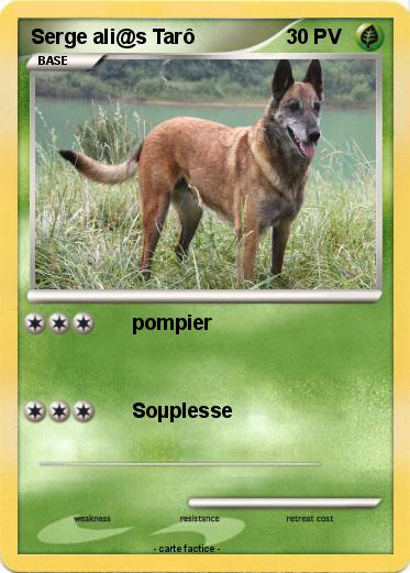 Pokemon Serge ali@s Tarô