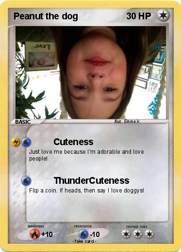 Pokemon Peanut the dog