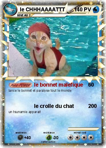 Pokemon le CHHHAAAATTT
