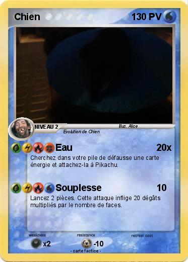 Pokemon Chien