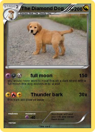 Pokemon The Diamond Dog