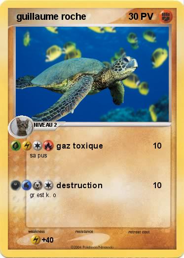 Pokemon  guillaume roche