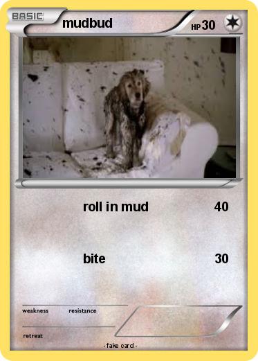 Pokemon mudbud