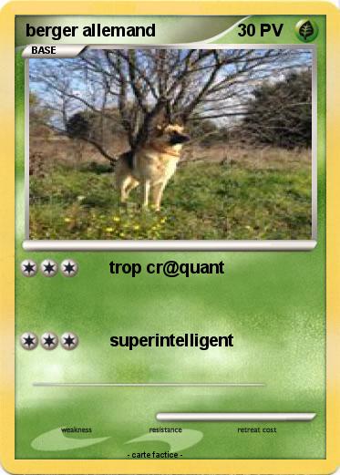 Pokemon berger allemand