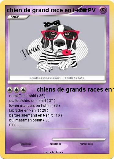 Pokemon chien de grand race en t-shirt