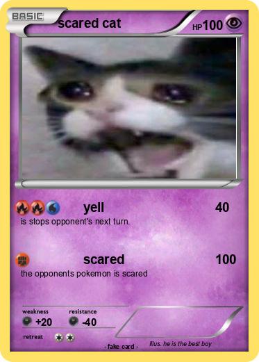Pokemon scared cat