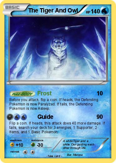 Pokemon The Tiger And Owl