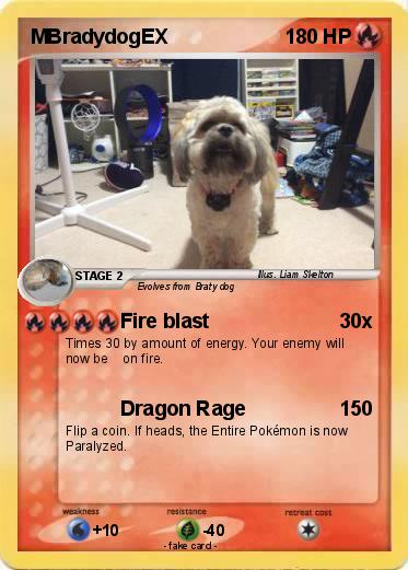 Pokemon MBradydogEX