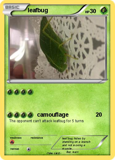 Pokemon leafbug