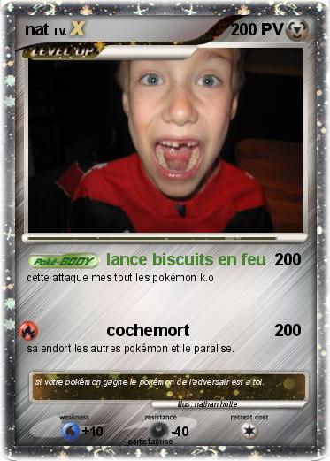Pokemon nat