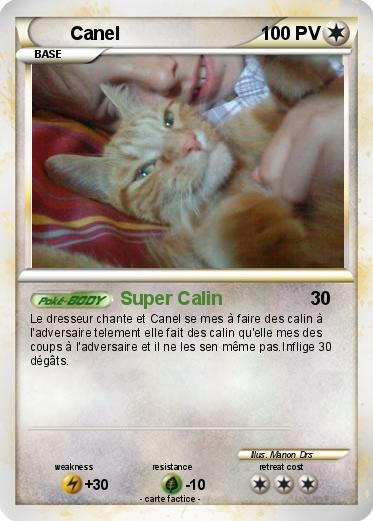 Pokemon Canel