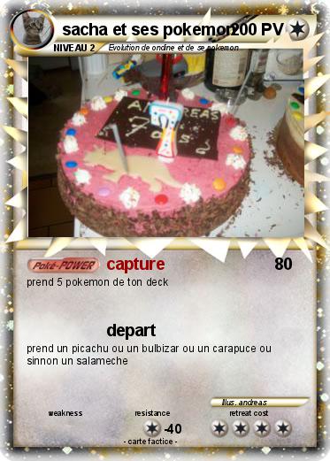 Pokemon sacha et ses pokemon