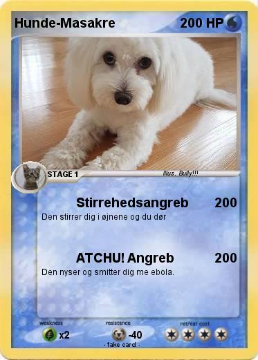 Pokemon Hunde-Masakre