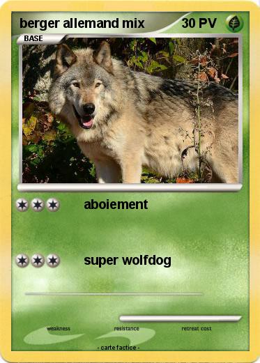 Pokemon berger allemand mix