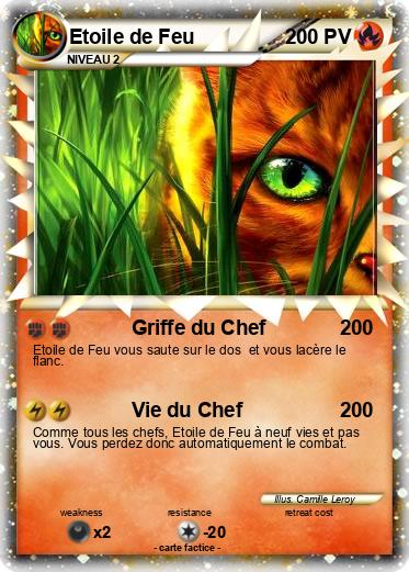 Pokemon Etoile de Feu