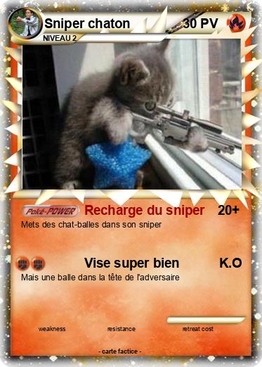 Pokemon Sniper chaton