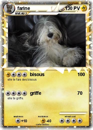 Pokemon farine