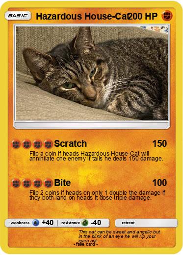 Pokemon Hazardous House-Cat