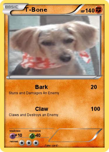Pokemon T-Bone