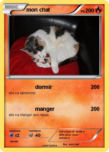 Pokemon mon chat