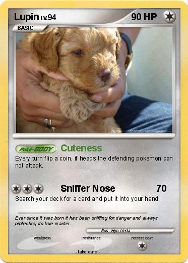 Pokemon Lupin