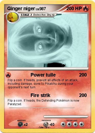 Pokemon Ginger niger