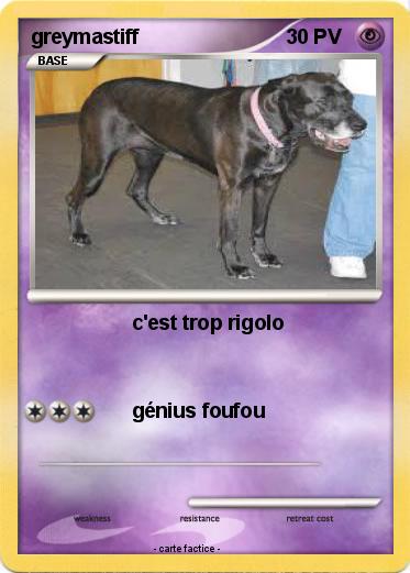 Pokemon greymastiff