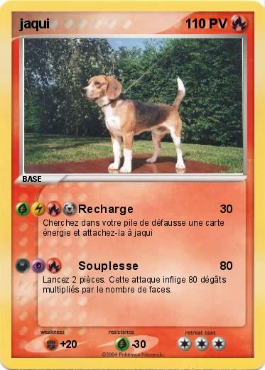 Pokemon jaqui