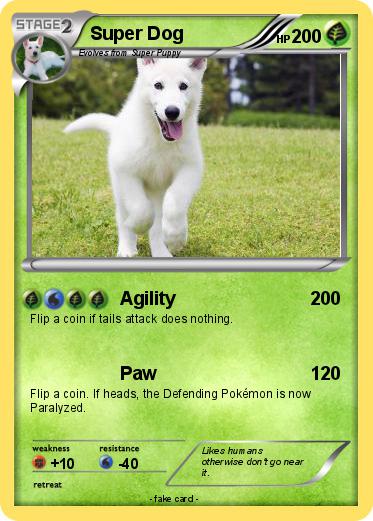 Pokemon Super Dog