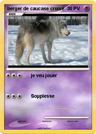 Pokemon berger de caucase croisé