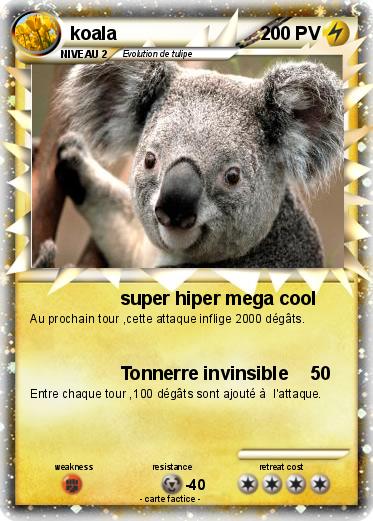 Pokemon koala
