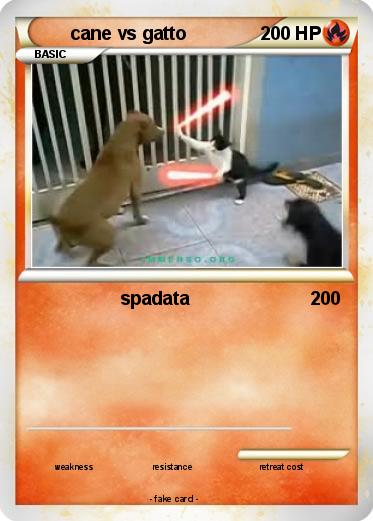 Pokemon cane vs gatto