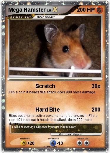 Pokemon Mega Hamster