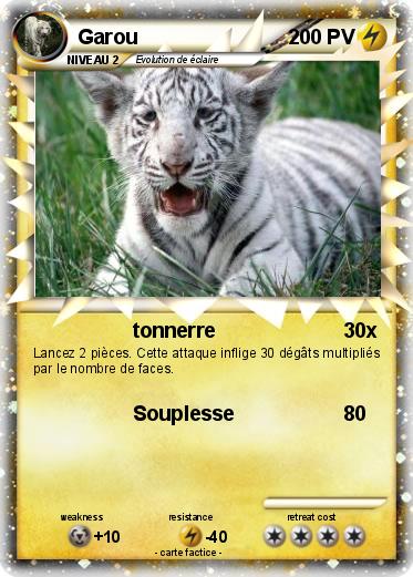 Pokemon Garou