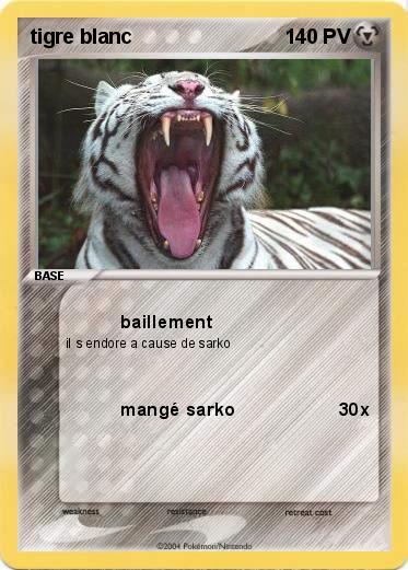 Pokemon tigre blanc 