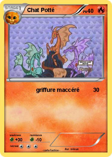 Pokemon Chat Potté
