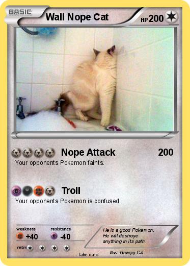 Pokemon Wall Nope Cat