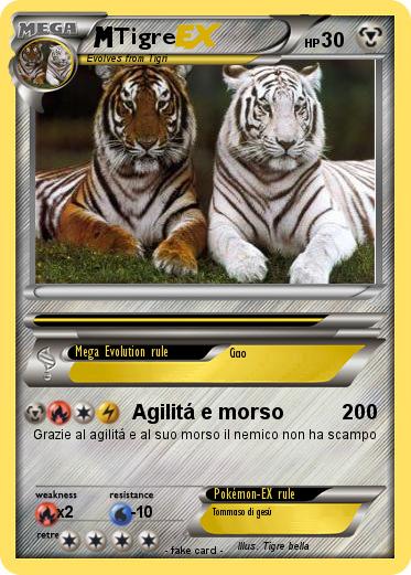 Pokemon Tigre