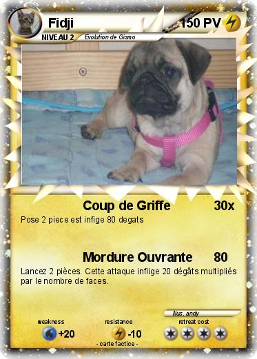 Pokemon Fidji