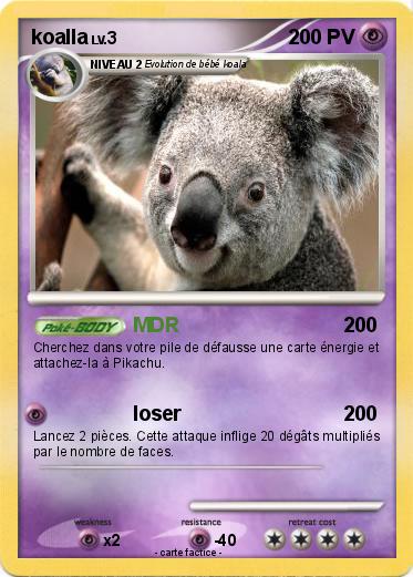 Pokemon koalla