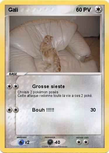 Pokemon Gali