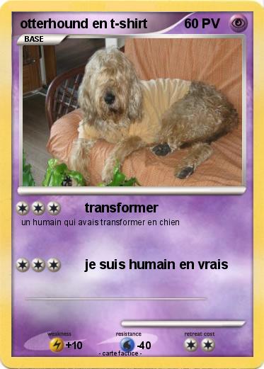 Pokemon otterhound en t-shirt