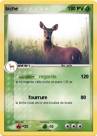 Pokemon biche