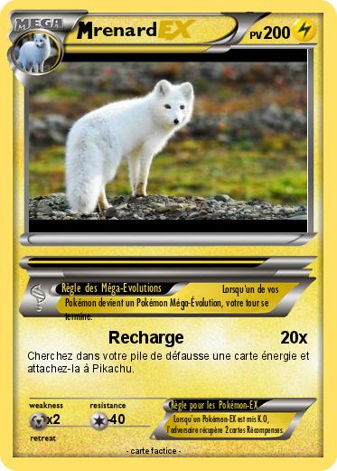 Pokemon renard