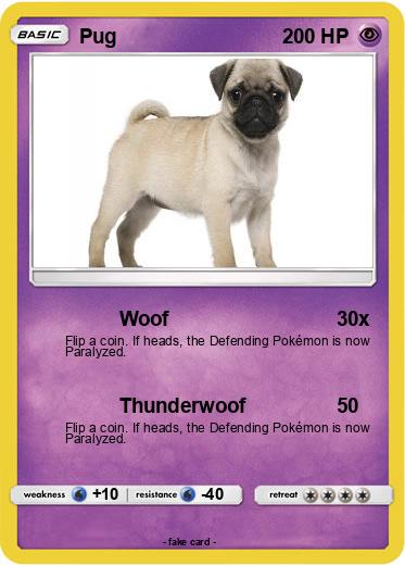 Pokemon Pug