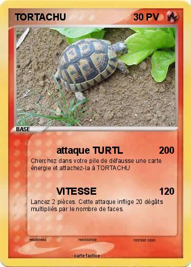 Pokemon TORTACHU