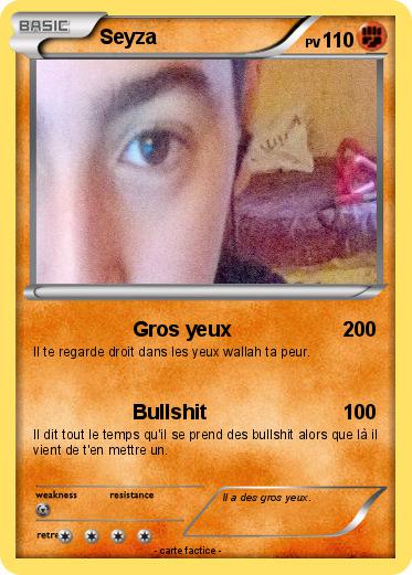 Pokemon Seyza